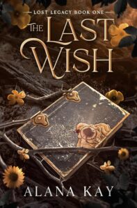 The Last Wish Book Cover